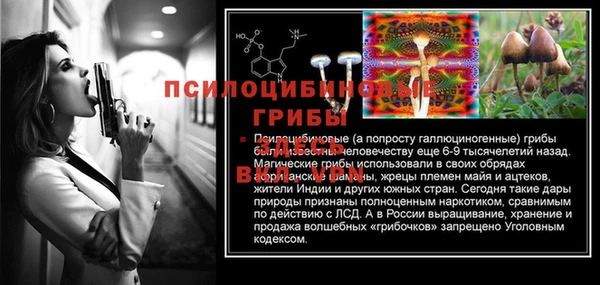 твердый Баксан