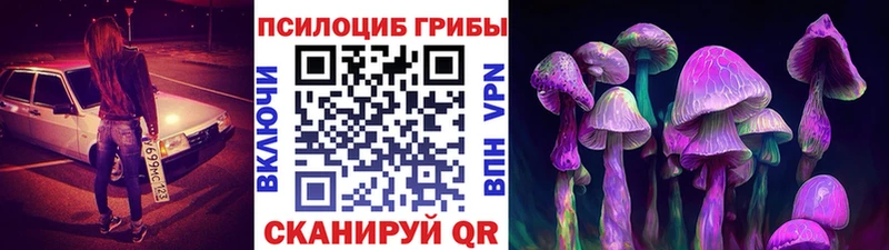 купить  цена  Голицыно  Псилоцибиновые грибы Psilocybe 